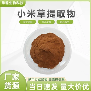 小米草提取物  芒小米草提取物 小米草浓缩粉 水溶 1KG起 包邮