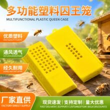 亚马逊跨境热卖养蜂设备黄色塑料囚王笼邮寄蜂王笼蜂王隔离运输屋