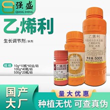 国光 乙烯利 棉花香蕉番茄水稻促熟催熟剂核桃剥皮去皮生长调节剂