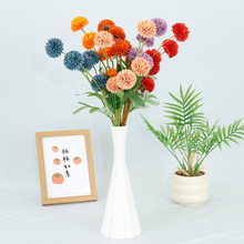 5 �^����С�� ��֦ƹ����ո߼��п͏d�b[���ٻ���Y�÷��滨