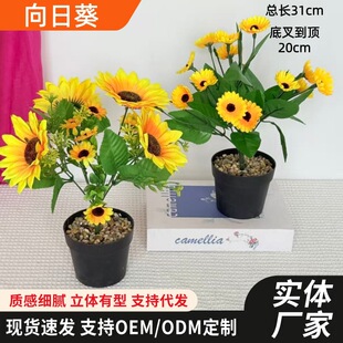 ���R�d�羳���տ���̫ꖻ�����С̫����տ������滨����[���b�