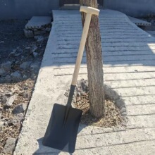 ũ�������̸ּӺ������������T��ľ���������ֲ�԰�ֻ�԰����