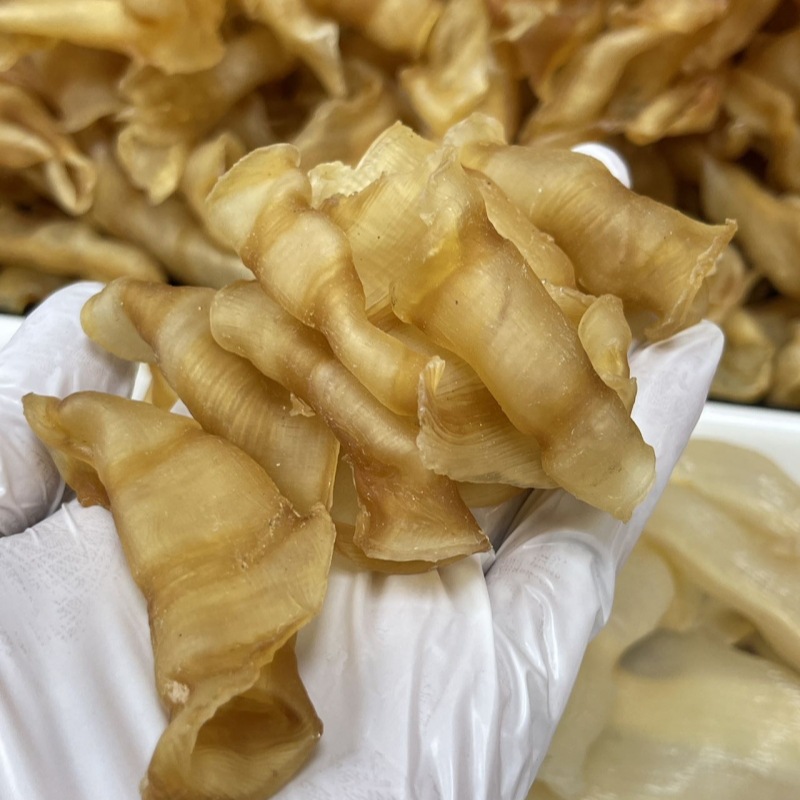 피닉스 꼬리 접착제 오래 된 접착제 75/kg