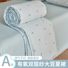 夏季A类双层纱大豆夏被四件套亲肤卡通儿童被空调被可机洗夏凉被