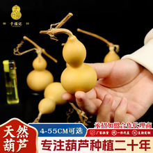 ��Ȼ���J����С���J���l�֎����^�����ְѼ�����J�[��