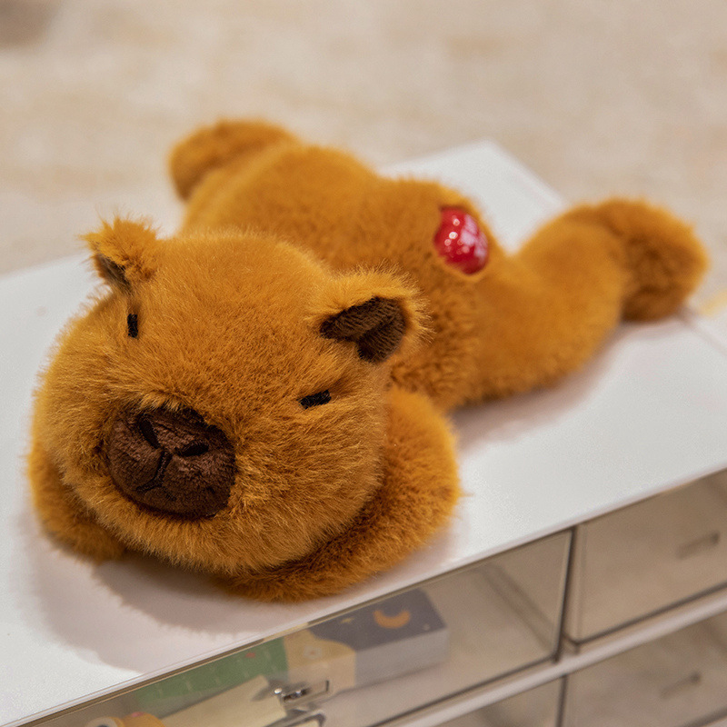 Transfronterizos encantadores muñecas de delfín de agua de las tierras altas occidentales, juguetes de peluche de animales, niños, patos, patos acostados image 9