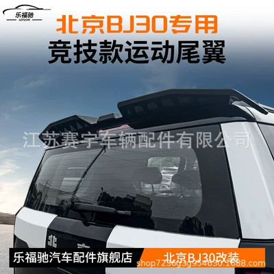 Wing, Fixed Wind Wing Decorative Accessories, Fixed wind wing