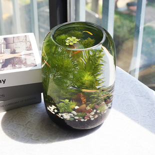 Desktop Small Fish Tank, Small Glass Fish Tank, Ecological Fish Tank, No-Maintenance Ecological Tank, Micro-Landscape Ecological Tank, Complete Set