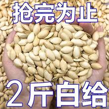 【新货开抢】正宗内蒙大颗粒熟南瓜子批发散装现炒原味纸皮南瓜子