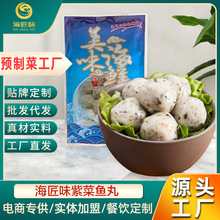 潮汕风味火锅食材麻辣烫关东煮冷冻丸子餐馆批发代发紫菜鱼丸包邮