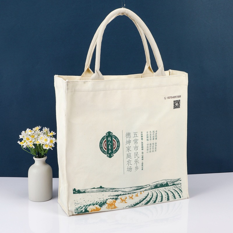 帆布袋印logo学生手提帆布包拉链单肩背袋收纳环保手拎定制大容量