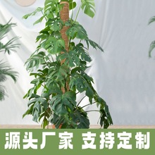 Ҭ�ذ�̦�\�U�G�}���������U����Ҭ�ӿɿ�ֲ��֧�ΗU����