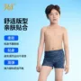儿童新款男孩男童游泳裤
