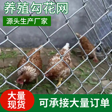 ��\䓽z�W�����F�z�W���ھW�Bֳ�W�o�ڹ�ţ���i���β��P���o���W