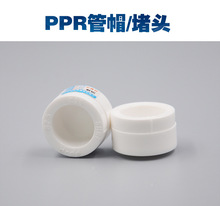 �S��20 2532 40 50 63PPR��ñ���^�ܼ�����ˮ�ܽ��^�Ӻ�