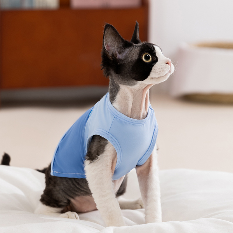 Gato primavera verano transpirable estilo fino contraste costura simple chaleco perro peluche bichón ropa de oso mascota ropa de gato