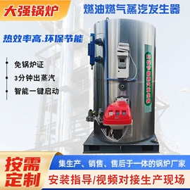 蒸汽发生器;燃生物质锅炉;燃煤锅炉