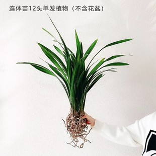 �m���������ī�m���������m�����҃�ֲ��͏d�k���ҾGֲ�ļ����B