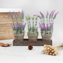 �F؛�ٻ�޹�²��辰���b�羳����Gֲ�����҃ȼҾ�����GֲС�[��