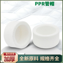 PPR水管管帽试压堵头闷头20 4分25 6分32 1寸ppr水管管件配件
