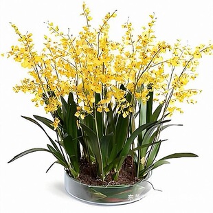 �����͉��������m���ڎ�������ˮ�m���ļ��_���������m��ɫ�����m