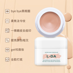 L-DA Concealer for covering facial spots, acne marks, and blemishes, Concealer Palette for contouring, and Cream for dark circles, tear troughs, and scars.