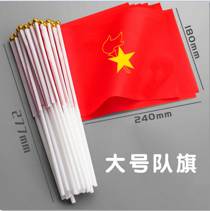 Cờ đội thiếu niên tiền phong (cờ đội lớn)/