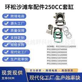 气缸及部件;点火器;活塞/活塞环