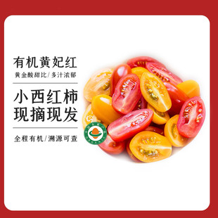 �ЙC�}Ů��/С����/���ҷ��� �ЙC�J�C�t�S����߲�ɳ���I�B��ζ