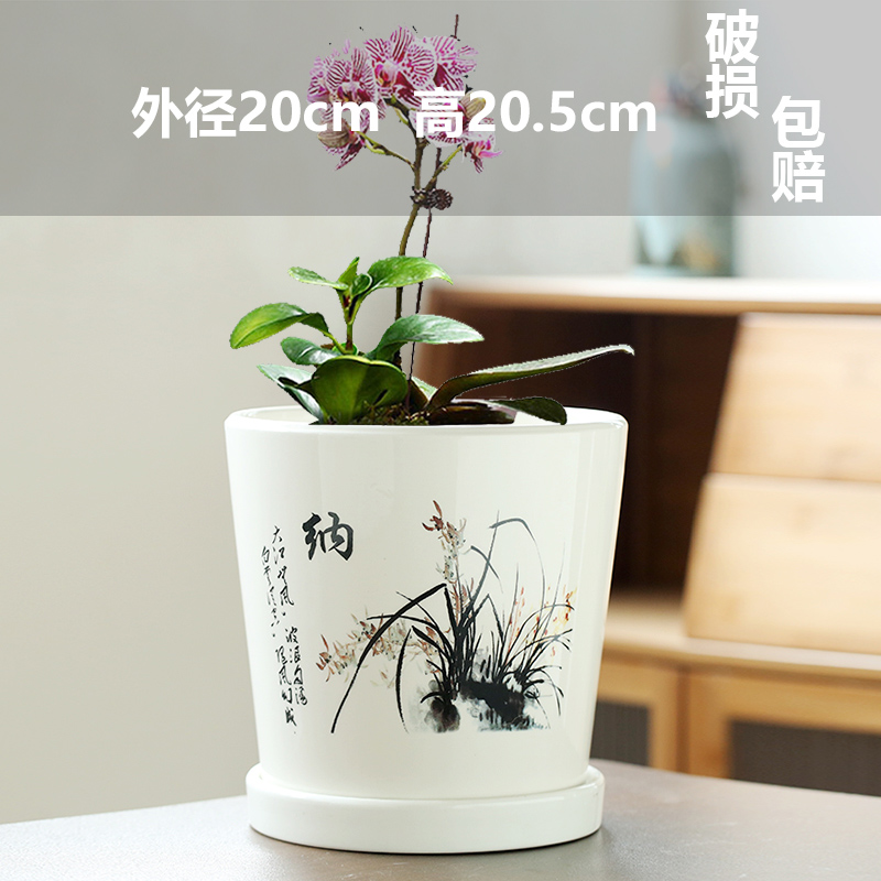 특별 제공 대형 단일 초대형 화분-세라믹-대형