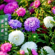 ��Ʒ�ذ��շN�ӽ����D�����D�{�����¾ջ��ѿ��л��̨���Ի��@