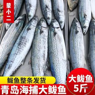 ���u���E�~���r�r��������l5�ﺣ�~���r�{�c�R�o�~�໨�~�R���~