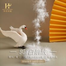 ��q�S��ֱ�Nˮϴ����95���Z�q��q���b��ȫ���^�z�������q���l