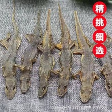 �������a�ڻ����l��ș���،m������ș�������ڻ����l500��