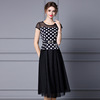 Long， slim mesh A-line skirt with polka dots