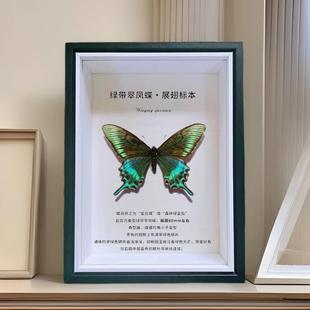 Wooden Hollow Glass Stereo Photo Frame Butterfly Insect Fruit Specimen Mounted Table Black Display Empty Picture Frame