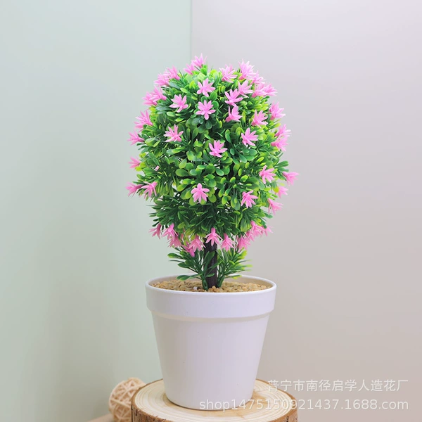 【Orchid Tree Pink】