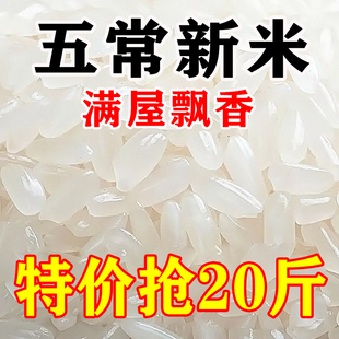 ���ޕr���ݡ������峣������20����10���r�������L����Fĥ�F�u�a
