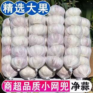 ���������¸��⡿���l��Ƥ�����^�ԷN���^��Ƥ����̓r���l�����