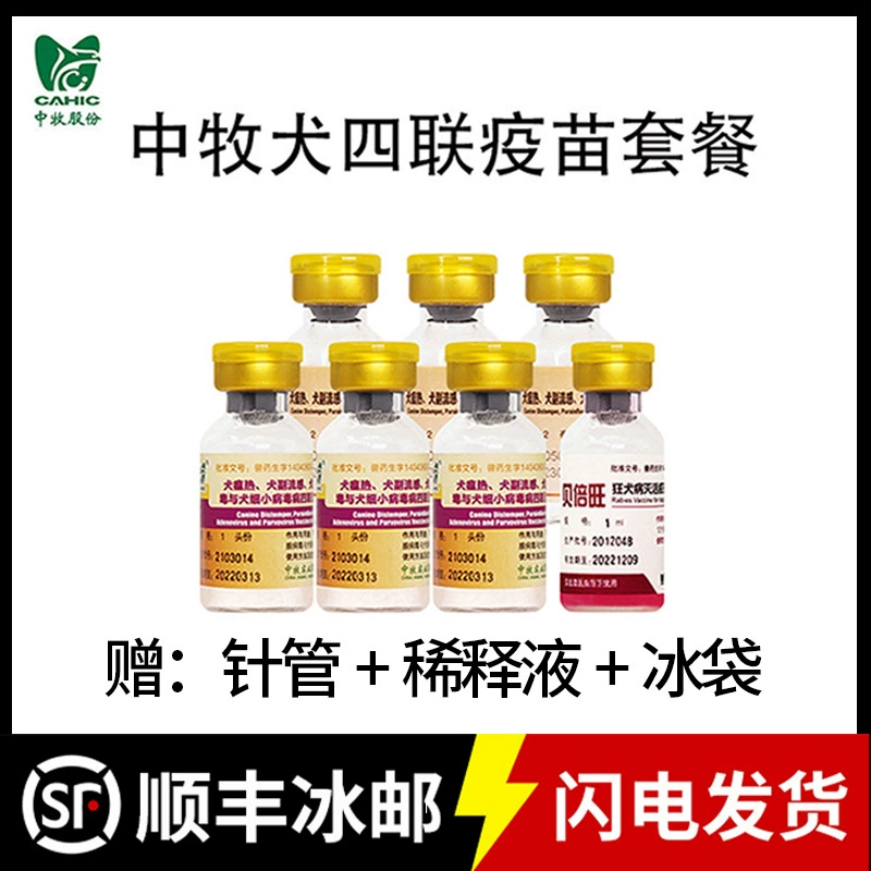 Китайская овчарка Четырехкратная вакцина Домашняя мясная собака Местная собака Профилактика мелких собак Чумка Вакцина Четырехместный пакет против бешенства