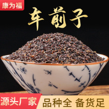 车前子 车前籽炒车前子中药材车前子（包邮）代打粉 量大从优