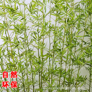 ���������҃��b����Ӹ������L�����쾰�����b������Լ��ܾGֲ