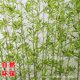 仿真竹子室内装饰假竹子隔断屏风挡墙造景室外装饰竹盆栽加密绿植