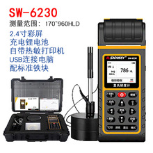 深达威SW6210S里氏硬度计 高精度洛氏布氏维氏金属钢材硬度测试仪