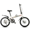 White single -speed disc brake