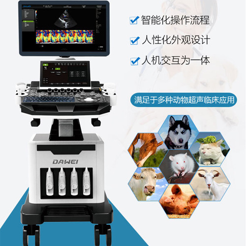 科研鼠用超声诊断仪 实验白鼠彩超机 动物超声 大小鼠用b超机报价