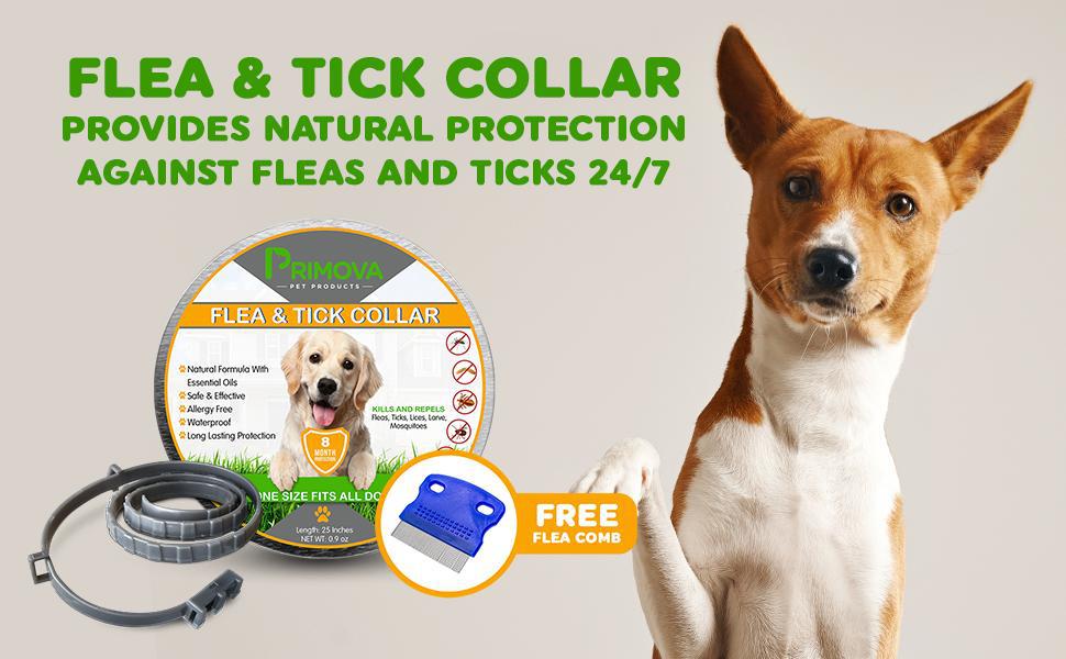 flea and tick prevention for dogs , flea collar for dogs , dog flea & tick control ,flea and tick