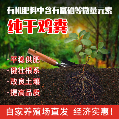 发酵鸡粪肥 干鸡粪块有机肥改良土壤量大优惠素菜果树种植底肥