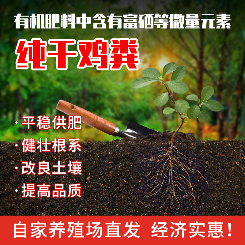 发酵鸡粪肥 干鸡粪块有机肥改良土壤量大优惠素菜果树种植底肥|ru