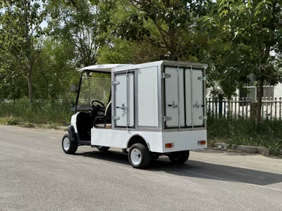 Electric Golf Carts from the: Elektrikli qolf avtomobilləri - customized-golf-cart-with-cargo-box